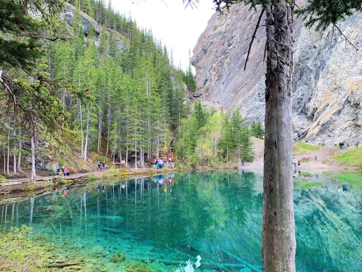 With Pool & Hot Tubs Managed By Little Sister Getaways